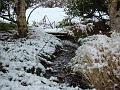 2012-0210-1045_Garden_Snow_1,1C